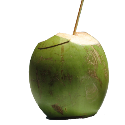 Coconut Water (नारियल पानी)-1 pc