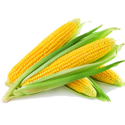 Sweet Corn(स्वीट कॉर्न)- 2pc