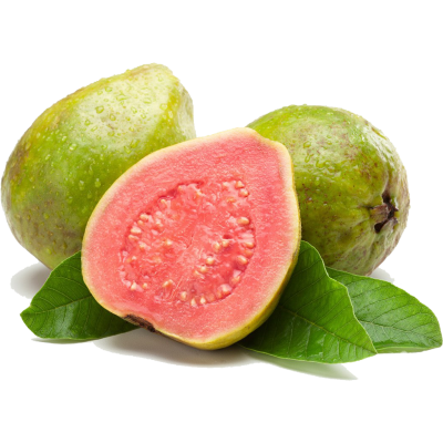 guava( अमरूद)