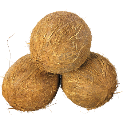 Coconut(नारियल)- 1 pc
